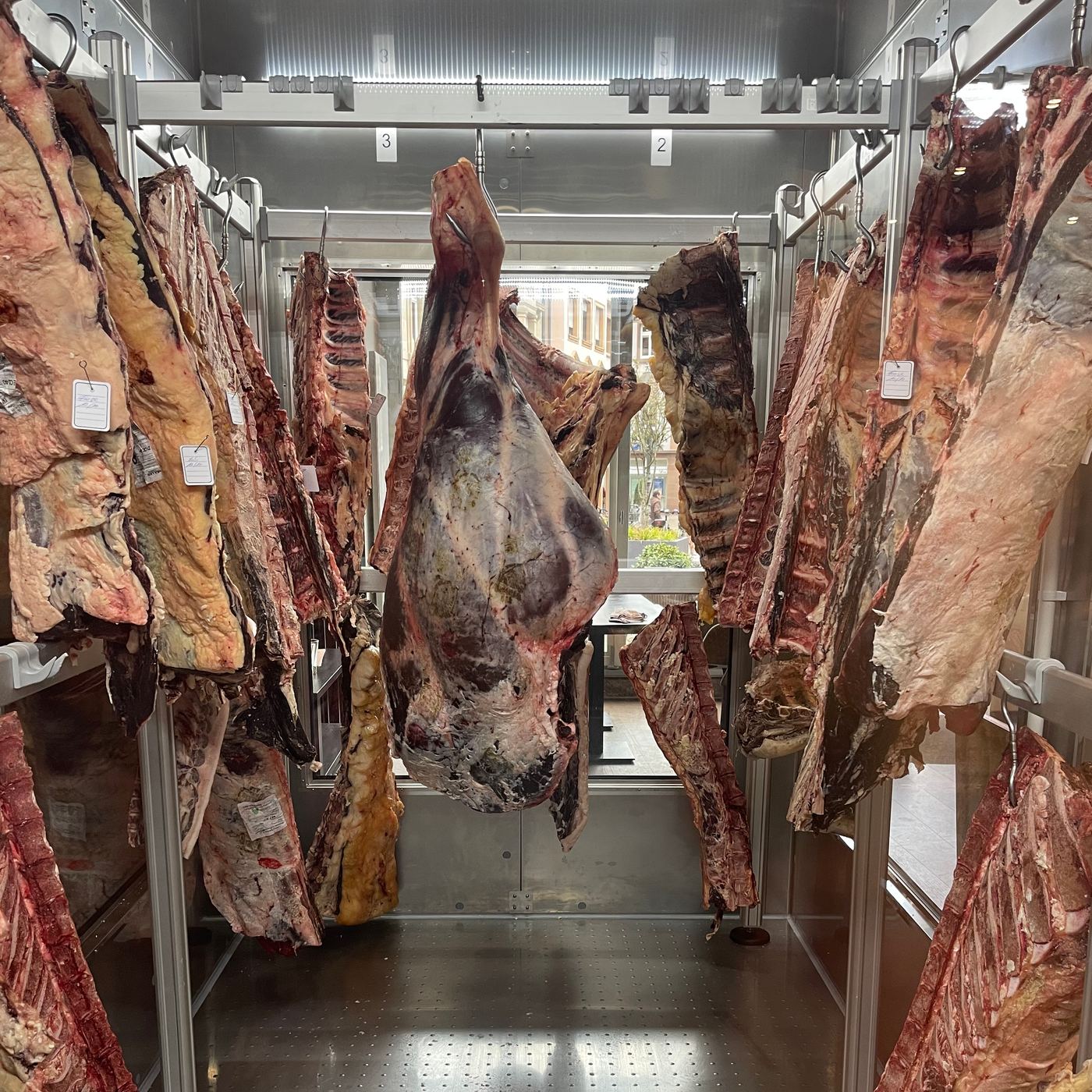 Blick in die verglaste Reifekammer: Fleisch reift am Knochen